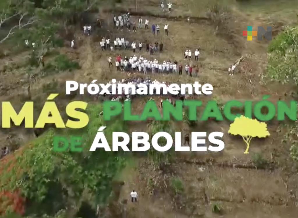 Falta muy poco para que inicie la campaña de reforestación, ¿jalas?